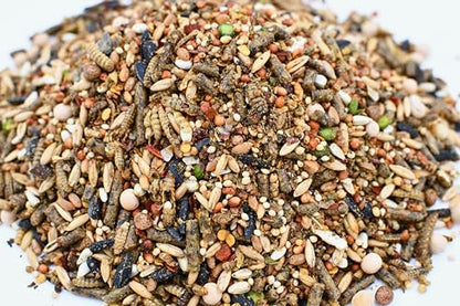 Chicken Fun-DOO Non-GMO, Soy-Free Chicken Treat | Premium Poultry Mealworm, Vegetable & Herb Mix (5 lbs)