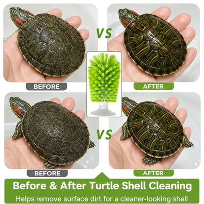 Turtle Scrub Brush, Turtle Scratches Back Brush Turtle Shell Clean Brush with Suction Cup Turtle Exfoliate Brush Tank Tortoise Brush for Remove Turtle Shell Scutes Mud Dirt