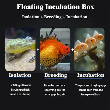WEAVERBIRD Aquarium Fish Breeder Box, Acrylic Square Isolation Hatchery | Fish Isolation Breeding, Hatching Incubator, For Baby Fish Shrimp Clownfish Guppy - size: Square