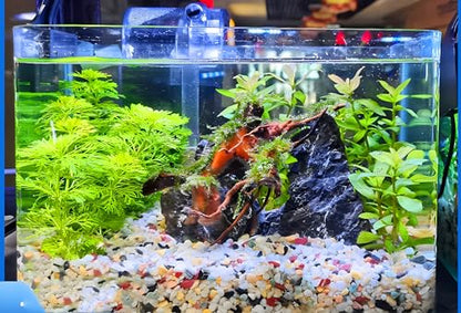 Small Aquarium Gravel for Fish Tank, Natural River Rock Pebbles for Plants Indoor, Pea Gravel for Landscaping, Aquarium Substrate (3 LBS, 0.4" to 0.8")