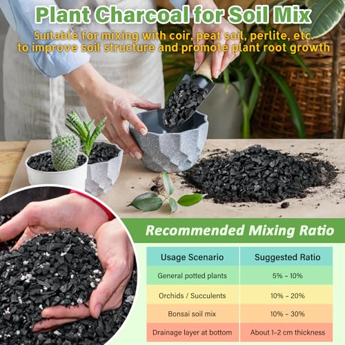10 LB Organic Leca Clay Pebbles & 2 QT Horticultural Charcoal, Natural Soil Amendment for Drainage, Aeration, and Healthy Indoor Plants, Orchids, Hydroponics & Terrariums