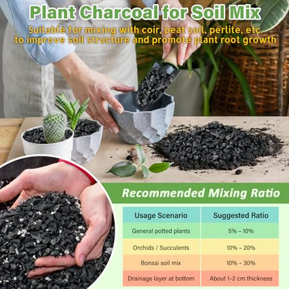 10 LB Organic Leca Clay Pebbles & 2 QT Horticultural Charcoal, Natural Soil Amendment for Drainage, Aeration, and Healthy Indoor Plants, Orchids, Hydroponics & Terrariums