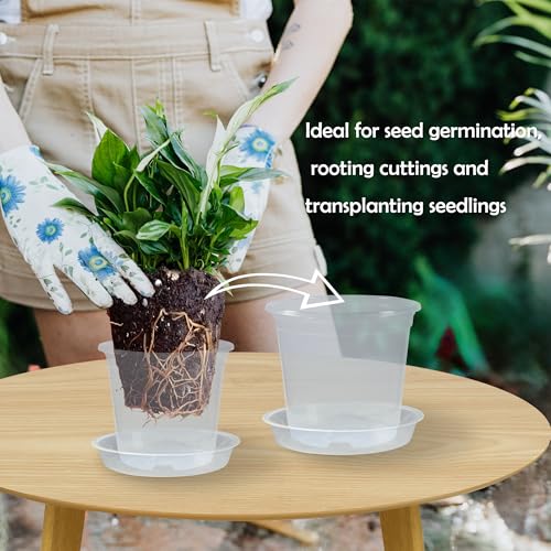 20 Pack 3 Inch Clear Nursery Pots with Drainage and 20 Pack Plant Saucers, Plant Pots for Plants Transparent Potting Containers for Plants Seeding Starter Pot (Clear, 3 Inch) - size: 3 Inch