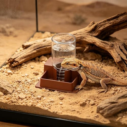 Reptile Water Dispenser Automatic Reptile Feeding Tray | Lizard Water Feeding Bowl for Gecko Lizard Bearded Dragon Home Indoor Garden Yard Backyard Tank Aquarium - size: L
