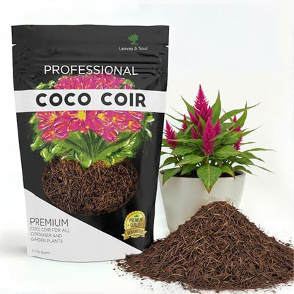 Leaves & Soul Coco Coir for Plants 2.2 Qt Soil Amendment for Potting Soil | Coco Coir for Indoor Plants Retains Moisture, Coconut Coir Improves Drainage, Mix with Garden Soil for Better Aeration & Root - style: Coco Coir Soil Additive (2.2 Quarts)