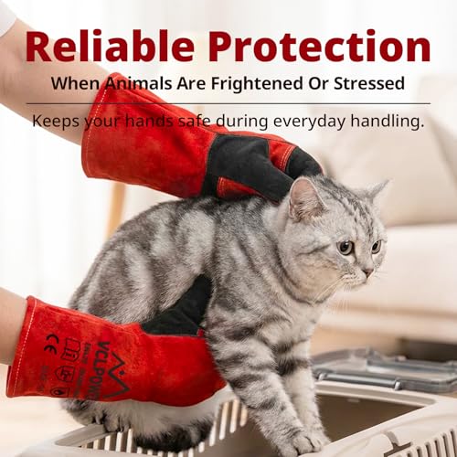 vclpower 16in Animal Handling Gloves Size L Fit for Men & Large Hands Bite Proof Double Leather Reinforced Padding Dog, Cat Scratch, Bird Handling Falconry Gloves Grabbing Reptile Squirrel Snake Bite