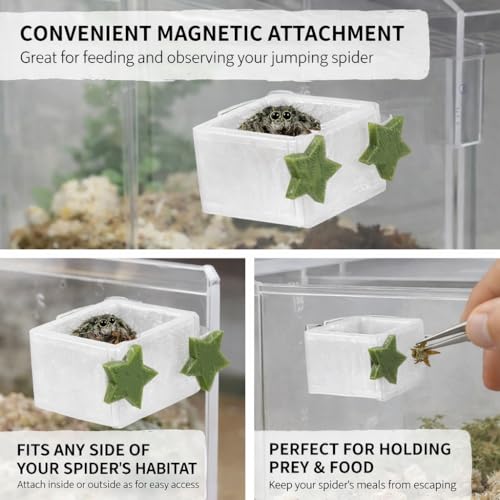 3 Pcs Magnetic Jumping Spider Feeding Dish Jumping Spider Enclosure Accessories Star-Shaped Design Reptile Water Bowl for Other Small Reptiles or Insects - color: 3 Five-Pointed Star Food Bowls