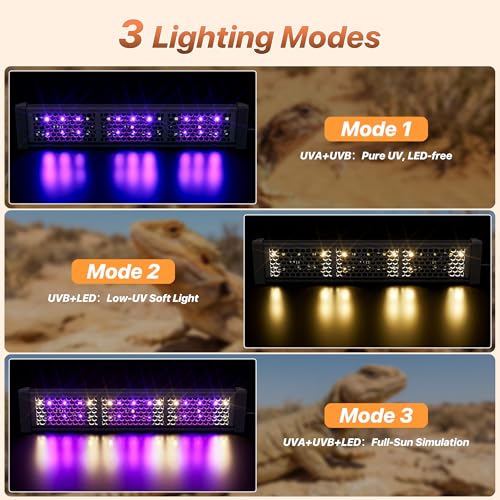 LED UVB Reptile Light with Timer & Dimmer (12inch) | 12W Full Spectrum UVA UVB Lamp with 3 Lighting Modes,5-Level Dimmable,4/8/12H Cycle Timer,for Bearded Dragon,Gecko,Tortoise - size: 12inch