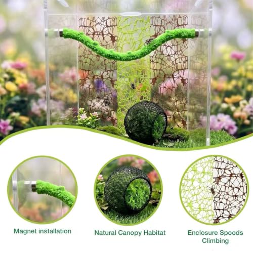 6PCS Magnetic Jumping Spider Hideout & Climbing Mesh Set(D) | Complete Enclosure Accessories Kit with Moss Hideout, Climbing & Hiding Decor for Small Reptiles, Tarantulas, Mantises