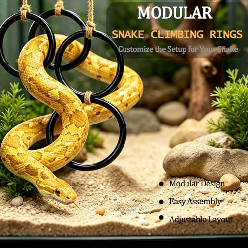 2 Pack Ball Python Tank Accessory, Snake Climbing Rings for Ball Python | Modular triple-link design, With a hook, expandable to 28 inches, 6+ exercise paths, rounded edges, reptile enrichment