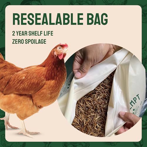 Hatortempt 5lb Dried Mealworms for Chickens & Wild Birds, Chicken Feed | High-Protein Chicken Food - Meal Worms Fed an Organic Diet - Hand Inspected Treats for Laying Hens & Ducks - 2 Yr Shelf Life - size: 5 Pound (Pack of 1)