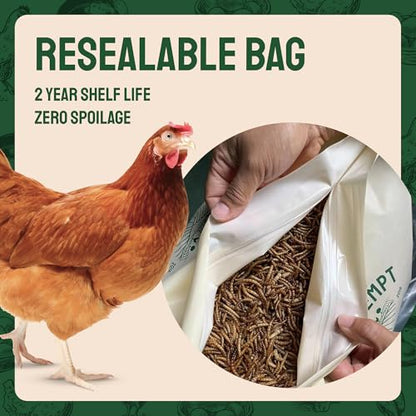 Hatortempt 5lb Dried Mealworms for Chickens & Wild Birds, Chicken Feed | High-Protein Chicken Food - Meal Worms Fed an Organic Diet - Hand Inspected Treats for Laying Hens & Ducks - 2 Yr Shelf Life - size: 5 Pound (Pack of 1)