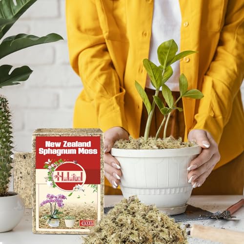 Halatool Premium New Zealand Sphagnum Moss, 500g (40L When Hydrated) | Long Fiber, Retain Moisture, Moss for Orchid Repotting, Succulents, Sarracenia, Potted Plants, Gardening & Reptiles - size: 40L