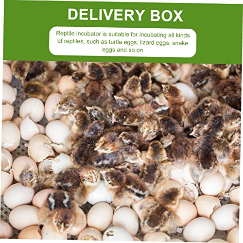 2Pcs Compartment Egg Incubator Tray for Reptile Hatching Reusable Transparent Hatchery Box for Tortoise Lizard and Management and Storage