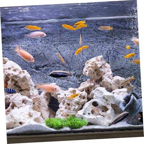 20 Pcs Aquarium Undergravel : Fish-Tank Divider, Aquarium Bottom Plate - PVC Splicing Clapboard (Black) - size: 20pcs
