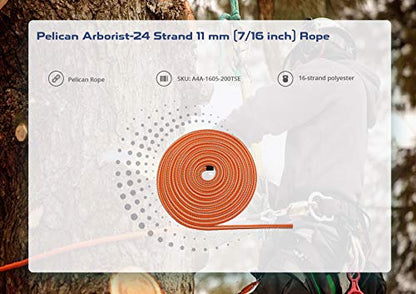 16-Strand 1/2 in (12.7 mm) Arborist-16™ Rope - 5400 lbs MBS - Static Climbing Rope - Rescue Operations - High Visibility - 120 ft - Tight Spliced Eye - Orange/White - Made in The USA - size: 120 ft - Tight Spliced Eye, style: Orange White