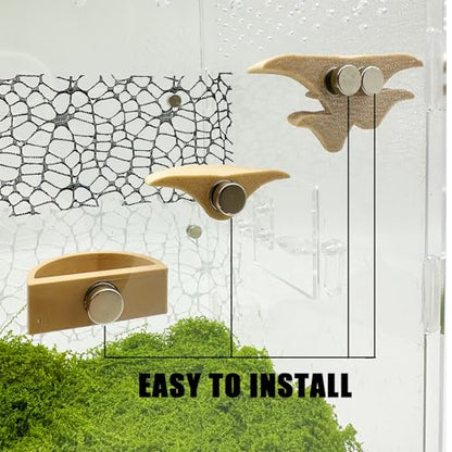 2 Pack Jumping Spider Accessories Mushroom Ledges & 1 Pack Water Bowl with Magnets for Spoods Jumping Spiders Magnetic Ledge Ladder Pet Spider Accessories (Not Included The Terrarium) (beige) - color: beige