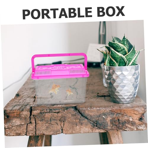 4pcs Mini Turtle Feeding Box Plastic Reptile Container for Fish and Small Pets Versatile Breeding Aquarium with Stable Base and Vibrant Lids