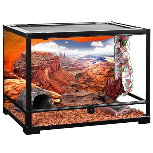 AWERT Stone Reptile Habitat Background Sky Oasis Mountain Cactus Sun and Desert Terrarium Background 36x24 inches Polyester Background - size: 36x24in/90x60cm