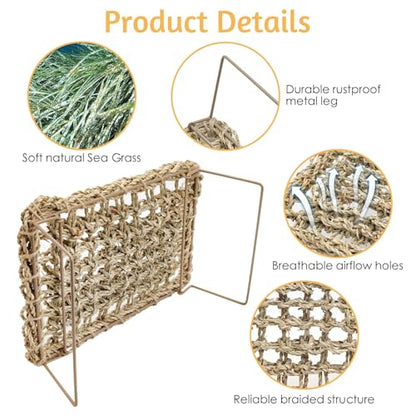 BNOSDM 2PC Reptile Basking Platform for Bearded Dragon Bed Tank Accessories - color: 2PCS Hammock