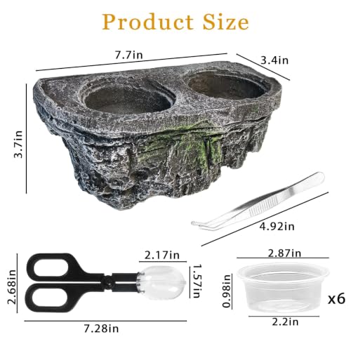 Tfwadmx Magnetic Reptile Feeder Ledge, Gecko Feeder Ledge with 6 Cups Reptile Feeding Bowls Food Dish Water Bowl Tank Accessories for Lizards Chameleons Frog(Grey) - color: Grey