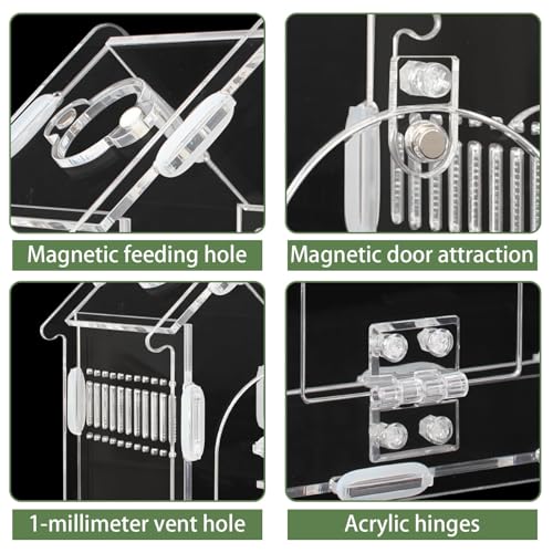 Magnetic Acrylic Jumping Spider Enclosure with Mushroom House, Easy-Feed Hole & Front Opening – Terrarium for Tarantula, Mantis, Beetle, Gecko, Hermit Crab, Reptile Habitat - color: Transparent color