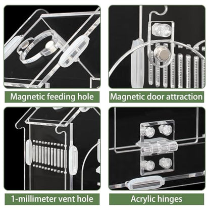 Magnetic Acrylic Jumping Spider Enclosure with Mushroom House, Easy-Feed Hole & Front Opening – Terrarium for Tarantula, Mantis, Beetle, Gecko, Hermit Crab, Reptile Habitat - color: Transparent color