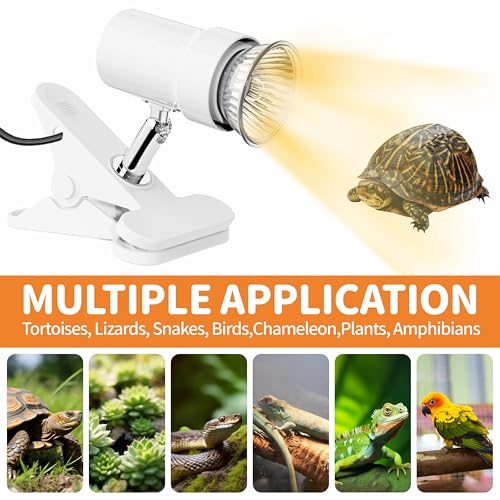 GOZILLA Reptile Heat Lamp, 360° Rotatable Turtle Light with 25W+50W UVA/UVB Reptile Light Bulbs, Turtle Lamp for Reptile and Amphibian Tanks, Terrariums and Cages.(White) - color: Lamp-White