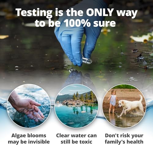 5Strands Blue Green Algae Test Kit (2 Pack), On Site Lake & Pond Water Testing, Water Safety Test, Algae Detection, Fast 10 Minute Results