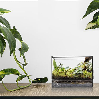 Happyyami Glass Terrarium Micro Landscape Container for Indoor Desktop Ecosystem Moss Planter Small Geometric Glass Holder 145x80x195mm Suitable for Succulent and Moss Gardening