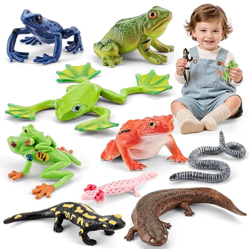 9PCS Amphibian Reptile Animals Figurines Frog Toys for Kids 3+ | Realistic, Safe, Rainforest Figurines, Salamanders Figures, Cake Toppers, Cupcake Decor, Birthday Gift for Boys Girls - style: 9PCS Amphibian Animals