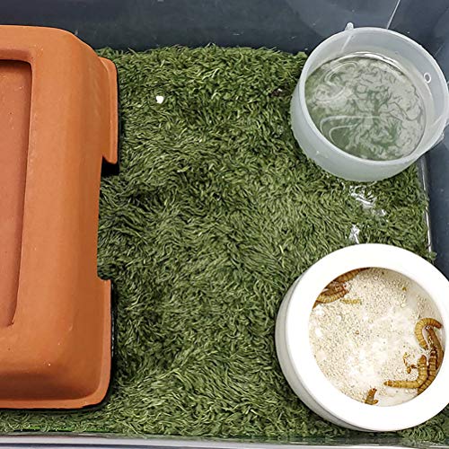 kathson 2pcs Reptile Carpet Terrarium Liner Tortoise Bedding Reptile Substrate Liner Mat Pet Cage Mats Supplies for Lizard Snake Bearded Dragon Gecko Chameleon Turtle Iguana (11.81 X 7.87 in) - color: 2PCS（M）：11.81 X 7.87 in