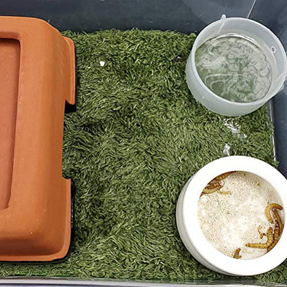 kathson 2pcs Reptile Carpet Terrarium Liner Tortoise Bedding Reptile Substrate Liner Mat Pet Cage Mats Supplies for Lizard Snake Bearded Dragon Gecko Chameleon Turtle Iguana (11.81 X 7.87 in) - color: 2PCS（M）：11.81 X 7.87 in