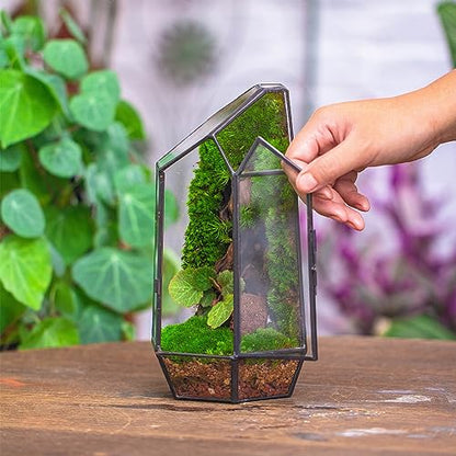 NCYP Small 5.1" x 5.1" x 8.66" Irregular Geometric Glass Terrarium Planter with Door - Home Tabletop Display Container Pot for Moss, Fern - Indoor Clear Decor, Black (No Plants)
