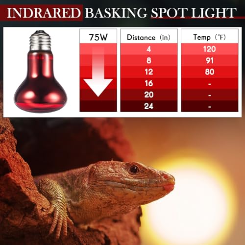 6 Pack 75 W Reptile Heat Bulbs Red Heat Lamp Bulb Infrared Lamp Red Basking Light Bulbs for Reptiles, Bearded Dragon, Lizard, Tortoise, Chickens, Leopard Gecko, Amphibian, Pets - color: Infrared