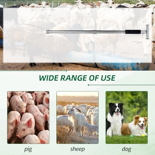 Dog Catcher Pole Holder Animal Control Tool Heavy Duty Stainless Steel Catch Pole for Trapping for Dog Pig Swine Animal Livestock, Rod Length 30 inches
