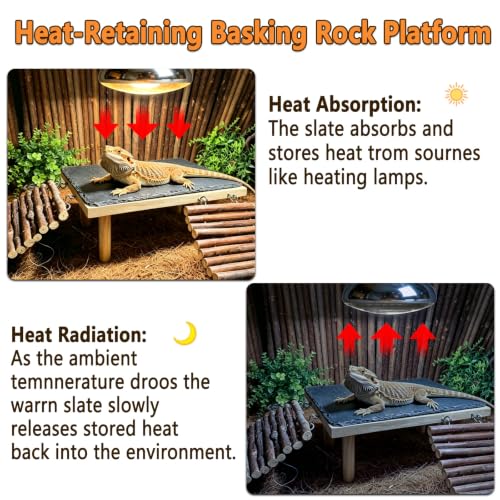 Bearded Dragon Basking Platform with Climbing Ramp,Reptile Basking Rock (L) | Wooden Lizard Resting Platform Basking Rock Slate,Leopard Gecko Hide Cave Tank Accessories for Tortoise Snake - size: L: 11.8" x 7.9" x 4.56"