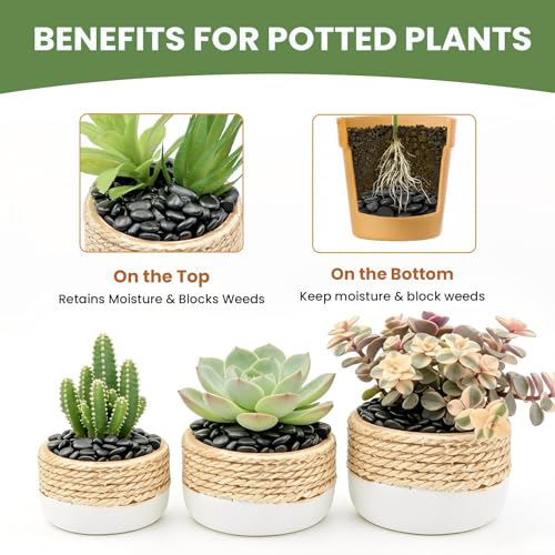 Polished Black Pebbles, 3/8 Inch Highly Glossy Decorative Gravel for Plants - Natural River Rocks for Succulent, Cactus, Aquarium, Vase Filler, Terrarium, Outdoor Garden & Landscaping-3LB - color: Black, size: 3LB