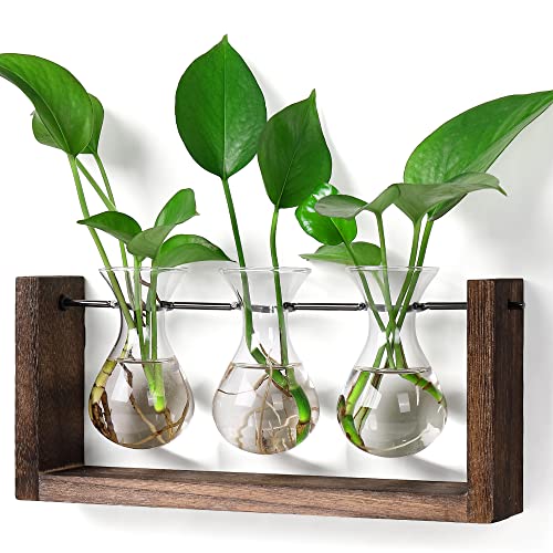 YIBOT Wall Hanging Planter Plant Propagation Stations Glass Flower Vase | Plant Terrarium with Wooden Stand,Gifts for Plant Lovers,Bathroom, Home Office Living Room Decor - size: 3Vase-M