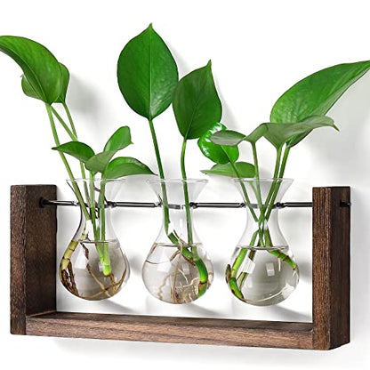 YIBOT Wall Hanging Planter Plant Propagation Stations Glass Flower Vase | Plant Terrarium with Wooden Stand,Gifts for Plant Lovers,Bathroom, Home Office Living Room Decor - size: 3Vase-M