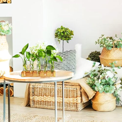 Plant Propagation Station, Plant Terrarium with Wooden Stand | Plants Pots for Hydroponics, Small Birthday Gardening Gifts for Women Mom Plants Lovers Unique - 5 Glass Test Tubes Vases - size: 5 Test Tube