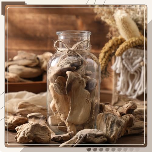 16oz Driftwood for Crafts and Decor, Mixed Size Driftwood Pieces Large Drift Wood Decor for Home Wedding Table DIY Art Beach Decoration, 2 Inches to 7 Inches in Length - size: 16oz, style: Craft Drift Wood 2-7 Inches
