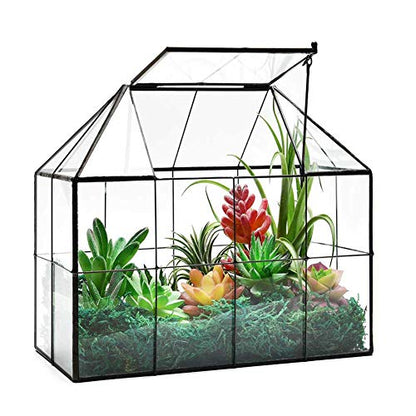 Large Glass Terrarium House Planter – Succulent Plant Glass Greenhouse with lid 9.8"X7.9"X5.9" NA