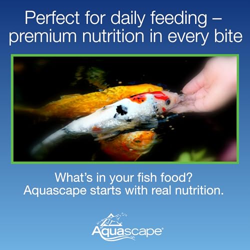 Aquascape Premium Staple Fish Food Pellets for Small to Medium Pond Fish, Medium Pellet, 2.2 Pounds | 98868 - size: 2.2 Pound (Pack of 1), style: Medium Pellet