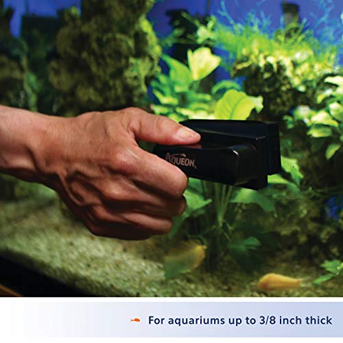 Aqueon Aquarium Algae Scraper, Fish Tank Cleaning Magnets for Glass/Acrylic, Medium (Pack of 3) - size: Medium (Pack of 3)