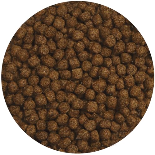 Zoo Med Aquatic Turtle Food Growth Formula 13 oz. - size: 7.5 Ounce (Pack of 1)