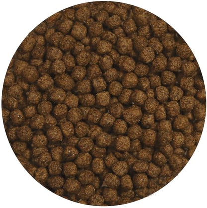 Zoo Med Aquatic Turtle Food Growth Formula 13 oz. - size: 7.5 Ounce (Pack of 1)