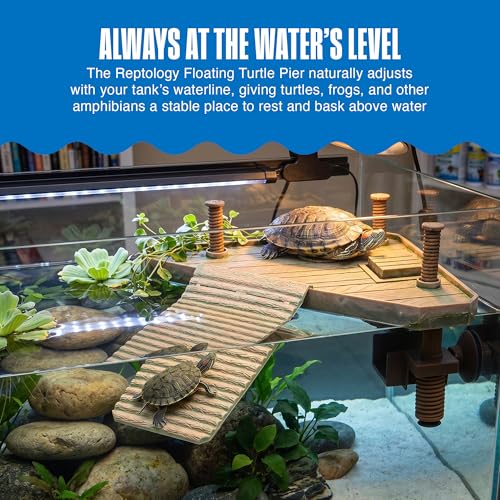 Penn-Plax Reptology Turtle Pier and Basking Platform, Medium - Adjust Height Up to 12 In - Floats at Water Level -Easy Ramp Access for Turtles, Frogs & Reptiles in Aquariums or Terrariums, 11.5x9.5 In - style: Turtle Pier - Medium