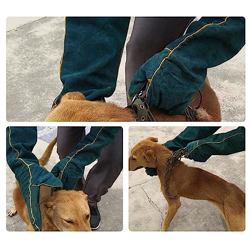 Animal Handling AntiBite Gloves for Dog Training Reptile Snake Handlers ScratchProof Bite Resistant Gloves with Reinforced Palm and Cotton Lining (L) - size: L