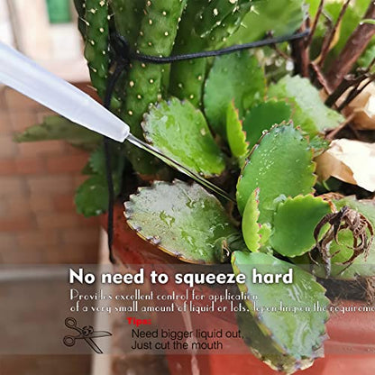 Valchoose White Squeeze Bottles, LDPE Angled Nozzle, 250ml & 500ml, 2 Pack | Built With Clear Liquid Scale, Tight Leakproof Lid, Precise Root Watering, For Lab, Succulents & Mini Potted Plants - color: White, size: 1x250ml+1x500ml